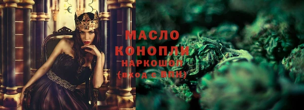 индика Михайловск