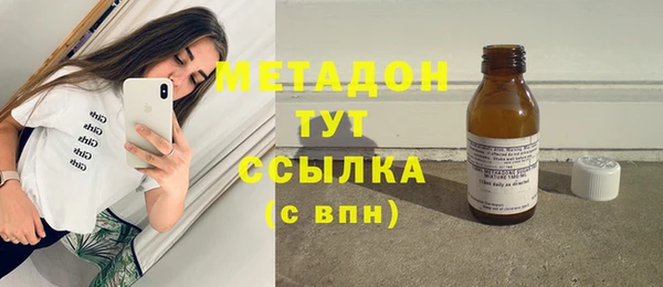 индика Михайловск