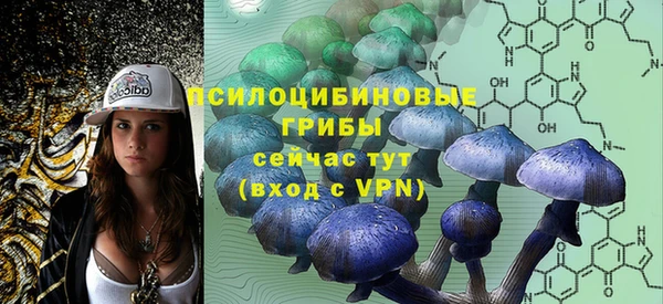соль ск Михайлов