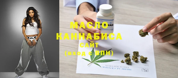индика Михайловск