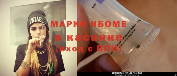 индика Михайловск