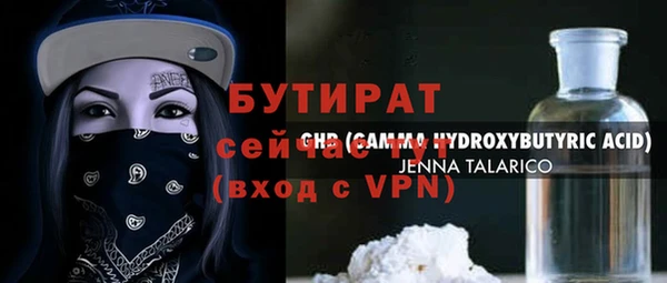 индика Михайловск