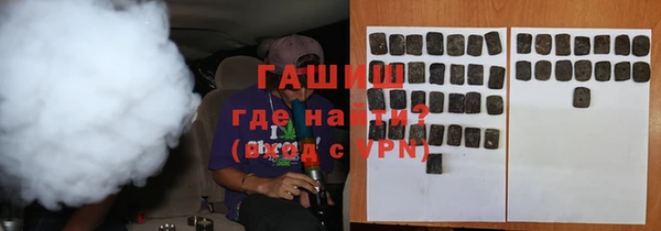 индика Михайловск