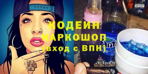 индика Михайловск