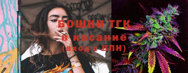 индика Михайловск