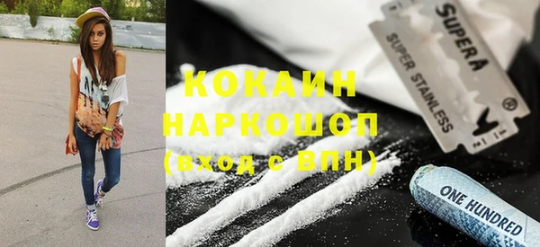 соль ск Михайлов