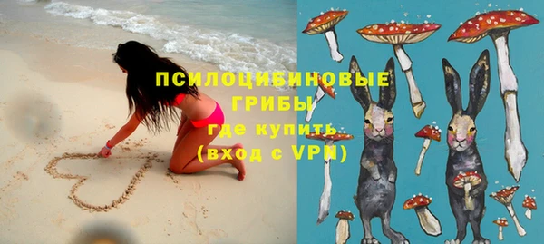 соль ск Михайлов