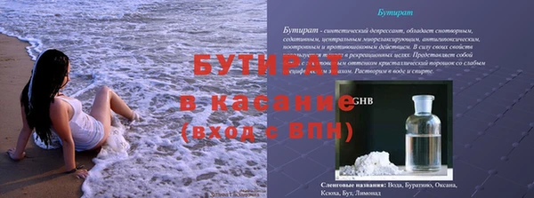 индика Михайловск
