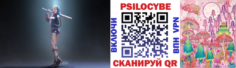 Купить где  Мурино  Псилоцибиновые грибы GOLDEN TEACHER 